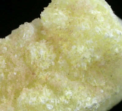 Leonite and Halite from Westerregeln, Stassfurt, Germany (Type Locality for Leonite)
