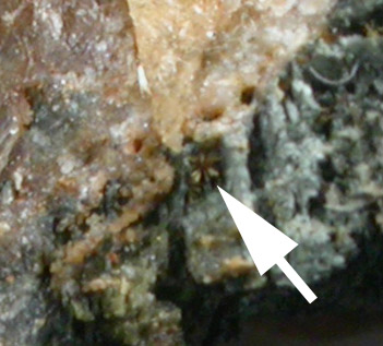 Whitmoreite from Palermo No. 1 Mine, North Groton Pegmatite District, Grafton County, New Hampshire (Type Locality for Whitmoreite)