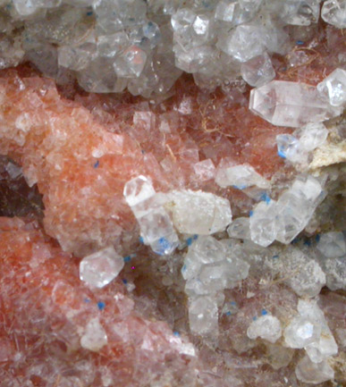 Ruizite inclusions in Apophyllite with Kinoite from Christmas Mine, Banner District, Gila County, Arizona (Type Locality for Ruizite)