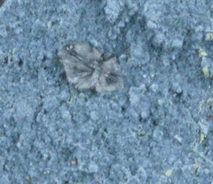 Jonesite from Benitoite Gem Mine, San Benito County, California (Type Locality for Jonesite)