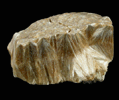 Carpholite from Slavkov, Cechy (Bohemia), Czech Republic (Type Locality for Carpholite)