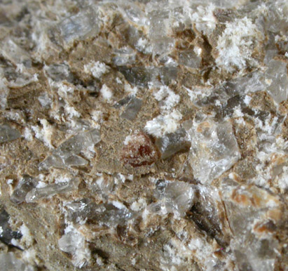 Loughlinite from Westvaco Trona Mine, Sweetwater County, Wyoming (Type Locality for Loughlinite)