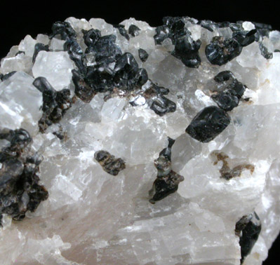 Pargasite from Pargas, Turku ja Pori, Finland (Type Locality for Pargasite)