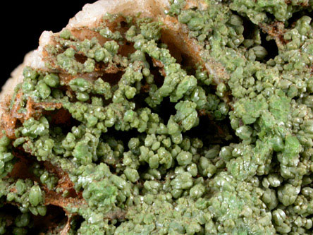 Pyromorphite from Wheatley Mine, Phoenixville, Chester County, Pennsylvania