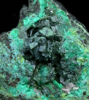 Olivenite, Duftite, Cuproadamite from Tsumeb Mine, Otavi-Bergland District, Oshikoto, Namibia (Type Locality for Duftite)