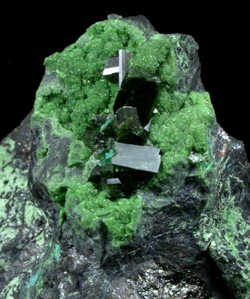 Olivenite, Duftite, Cuproadamite from Tsumeb Mine, Otavi-Bergland District, Oshikoto, Namibia (Type Locality for Duftite)