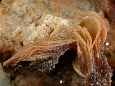 Barite with Calcite from Naica District, Saucillo, Chihuahua, Mexico