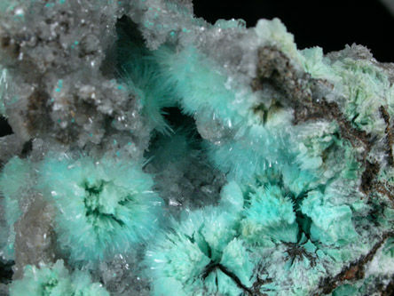 Aurichalcite, Hemimorphite and Chrysocolla from 79 Mine, Banner District, near Hayden, Gila County, Arizona