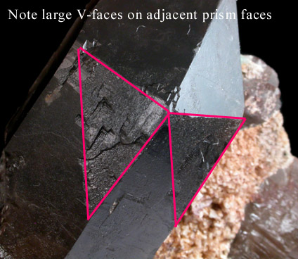 Quartz var. Smoky Dauphin Twin from Crystal Peak area, 6.5 km northeast of Lake George, Park-Teller Counties, Colorado