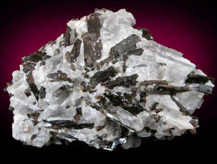 Fluoro-richterite (Fluororichterite) from Wilberforce, Ontario, Canada