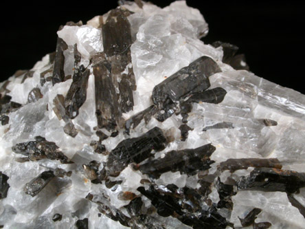 Fluoro-richterite (Fluororichterite) from Wilberforce, Ontario, Canada