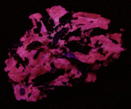 Fluoro-richterite (Fluororichterite) from Wilberforce, Ontario, Canada