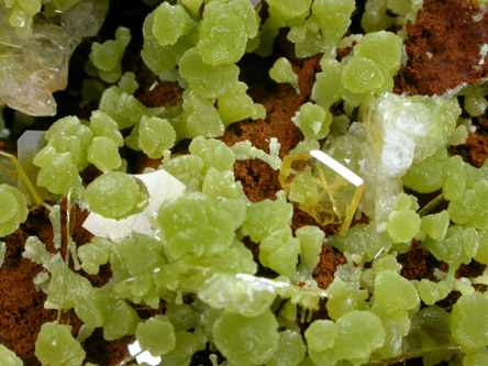 Mimetite with Wulfenite from Mina Ojuela, Mapimi, Durango, Mexico