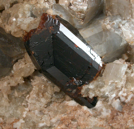 Dravite Tourmaline on Tremolite from 7 Springs Ski Area, Parishville, St. Lawrence County, New York