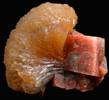 Chabazite and Stilbite from Wasson's Bluff, Parrsboro, Nova Scotia, Canada