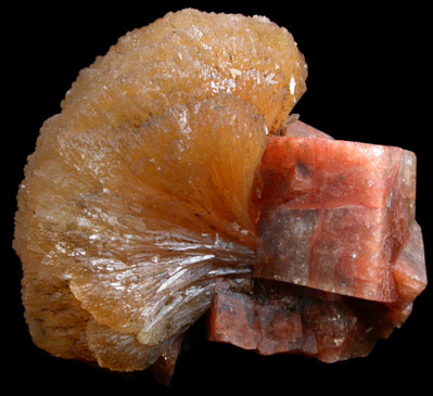 Chabazite and Stilbite from Wasson's Bluff, Parrsboro, Nova Scotia, Canada