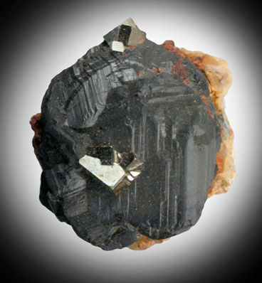 Sphalerite and Pyrite from Patch Mine, Glory Hole, Central City, Gilpin County, Colorado