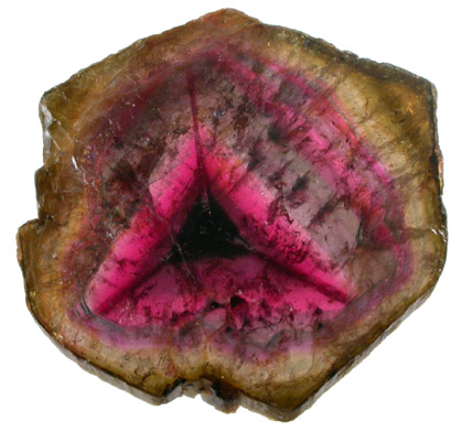 Liddicoatite Tourmaline from Alakamisy, Inteny, Madagascar