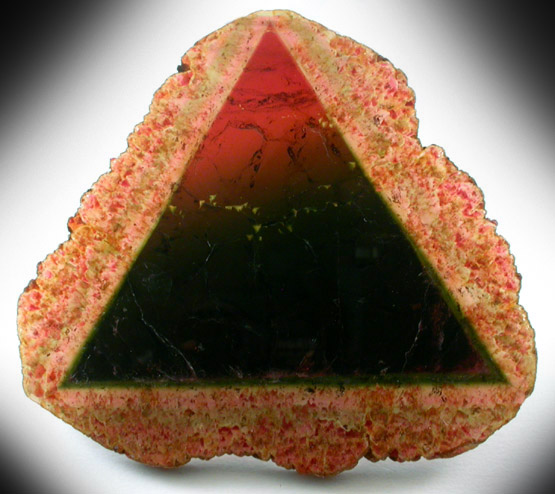 Liddicoatite Tourmaline from Valozoro, Ambositra, Madagascar