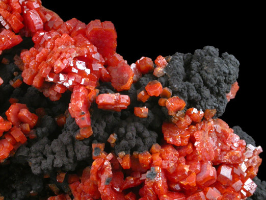 Vanadinite on Fe-Mn-oxide from Taouz, Errachidia, Meknes-Tafilalet, Morocco