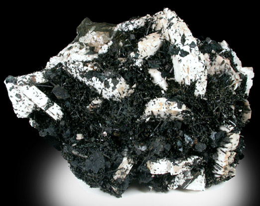 Aegirine, Arfvedsonite, Sanidine, Catapleiite from De-Mix Quarry, Mont Saint-Hilaire, Québec, Canada