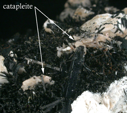 Aegirine, Arfvedsonite, Sanidine, Catapleiite from De-Mix Quarry, Mont Saint-Hilaire, Qubec, Canada