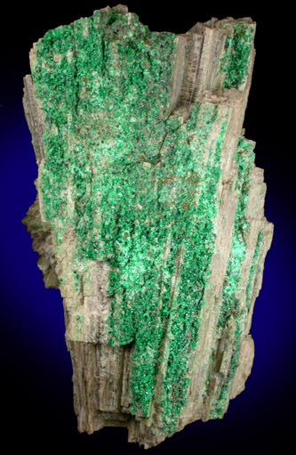 Grossular Garnet on Diopside from Orford Nickel Mine, 5.6 km southwest of Saint-Denis-de-Brompton, Qubec, Canada