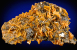 Wulfenite from Mobile Mine, Goodsprings District, Clark County, Nevada