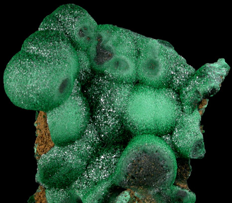 Malachite from Mashamba Mines, 10 km west of Kolwezi, Katanga Copperbelt, Lualaba Province, Democratic Republic of the Congo