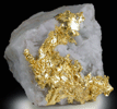 Gold on Quartz from Eagle's Nest Mine, Michigan Bluff District, Placer County, California