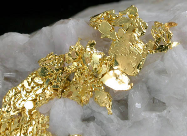 Gold on Quartz from Eagle's Nest Mine, Michigan Bluff District, Placer County, California