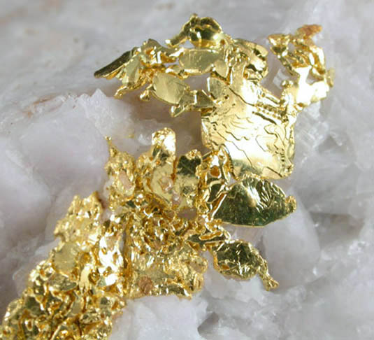 Gold on Quartz from Eagle's Nest Mine, Michigan Bluff District, Placer County, California