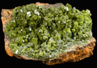 Pyromorphite from Wheatley Mine, Phoenixville, Chester County, Pennsylvania