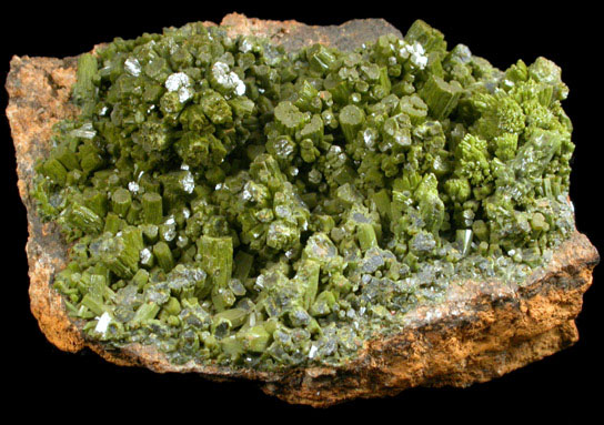 Pyromorphite from Wheatley Mine, Phoenixville, Chester County, Pennsylvania