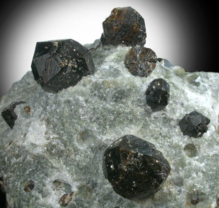 Andradite Garnet from Cornwall Iron Mines, Cornwall, Lebanon County, Pennsylvania