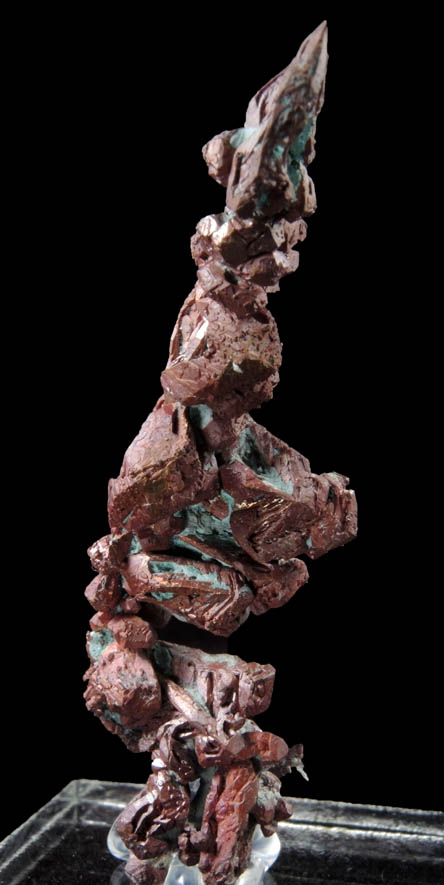 Copper (Spinel-law Twins) from Dzhezkazgan, Karaganda Oblast', Kazakhstan