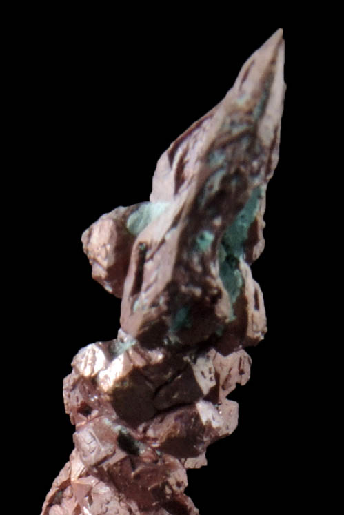 Copper (Spinel-law Twins) from Dzhezkazgan, Karaganda Oblast', Kazakhstan