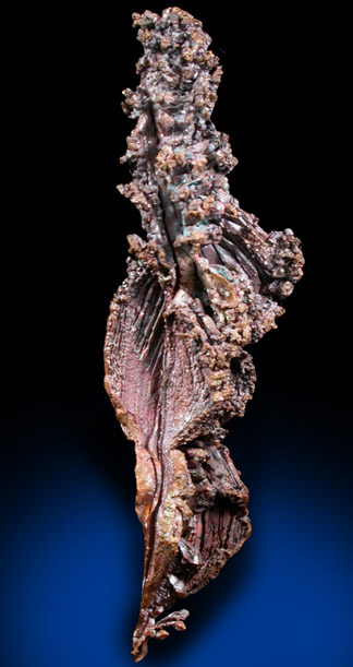 Copper (Spinel-law Twins) from Dzhezkazgan, Karaganda Oblast', Kazakhstan