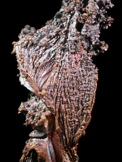 Copper (Spinel-law Twins) from Dzhezkazgan, Karaganda Oblast', Kazakhstan