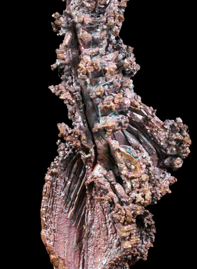 Copper (Spinel-law Twins) from Dzhezkazgan, Karaganda Oblast', Kazakhstan