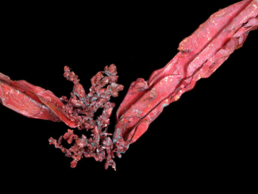 Copper var. Spinel-law Twins with Cuprite from Dzhezkazgan, Karaganda Oblast', Kazakhstan