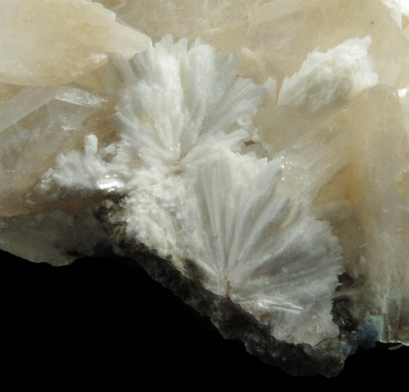 Stilbite and Laumontite on Calcite from Upper New Street Quarry, Paterson, Passaic County, New Jersey