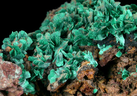 Malachite pseudomorphs after Azurite from Bisbee, Warren District, Cochise County, Arizona