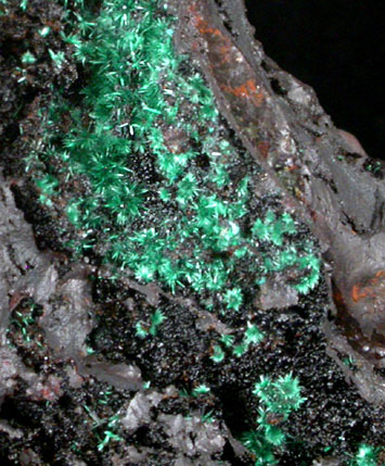 Malachite on Hematite from Bisbee, Warren District, Cochise County, Arizona