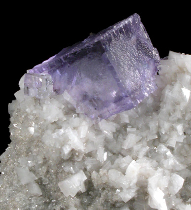 Fluorite on Dolomite from Elmwood Mine, Carthage, Smith County, Tennessee