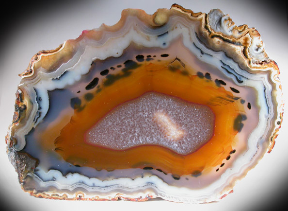 Quartz var. Agate (polished slice of an agate nodule) from Rio Grande do Sul, Brazil