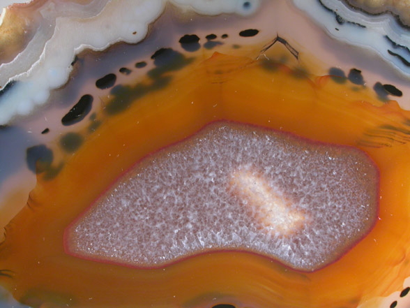 Quartz var. Agate (polished slice of an agate nodule) from Rio Grande do Sul, Brazil