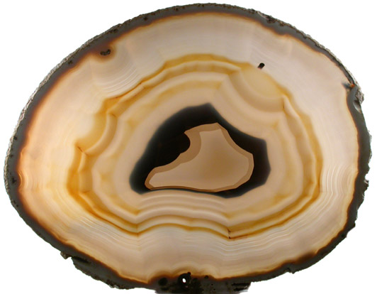 Quartz var. Agate (polished slice of an agate nodule) from Rio Grande do Sul, Brazil