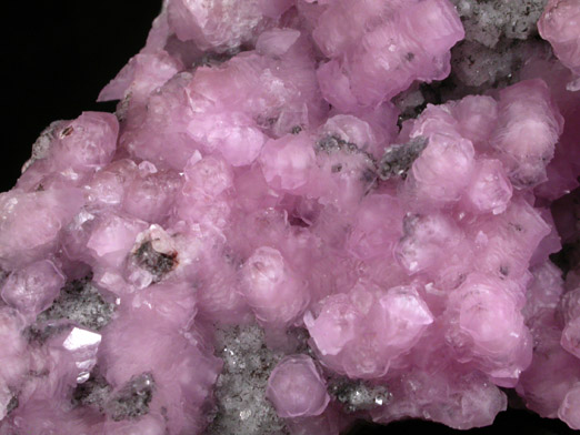 Calcite (Cobalt-rich) from Bou Azzer District, Anti-Atlas Mountains, Tazenakht, Ouarzazate, Morocco