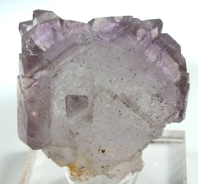 Quartz var. Amethyst Japan Law-twinned from Ambatondrazaka, Toamasina Province, Madagascar